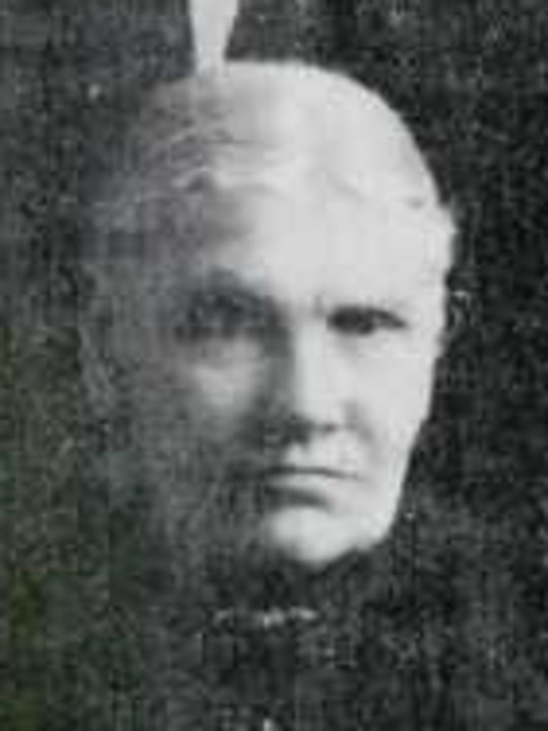 Bergetta Nelson (1833 - 1915) Profile